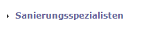Sanierungsspezialisten